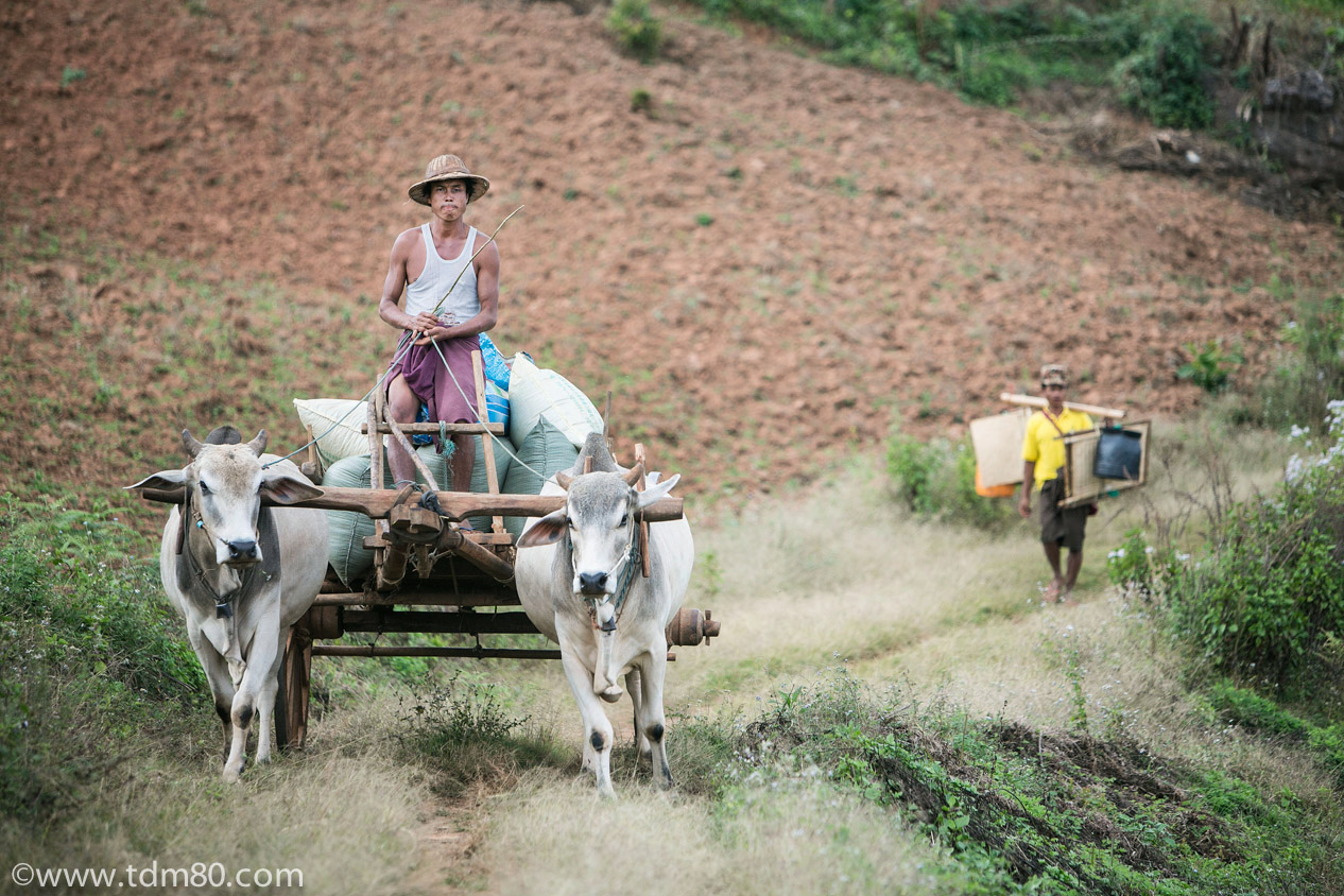 Trek Kalaw-Lac Inlé