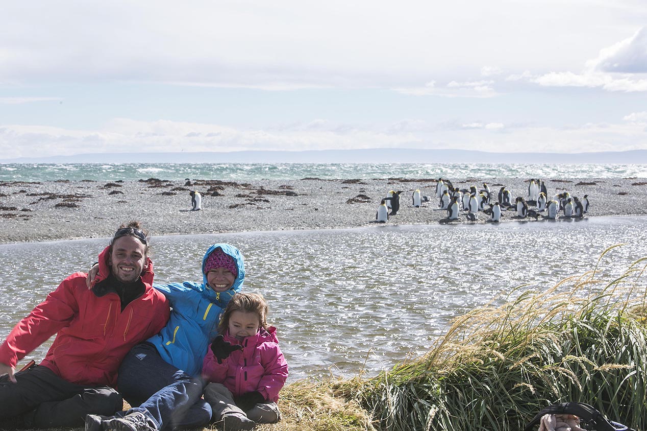 tdm80_Punta-arenas-penguin-Rey_12