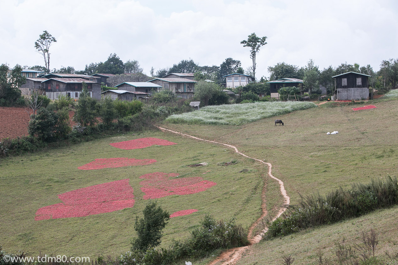 tdm80_Birmanie_Kalaw_Lac_Inley_Trek_10