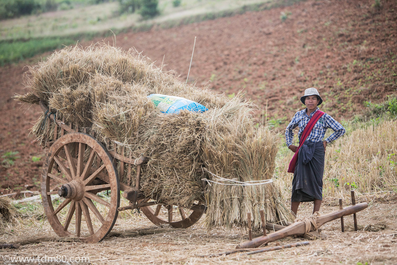 tdm80_Birmanie_Kalaw_Lac_Inley_Trek_33