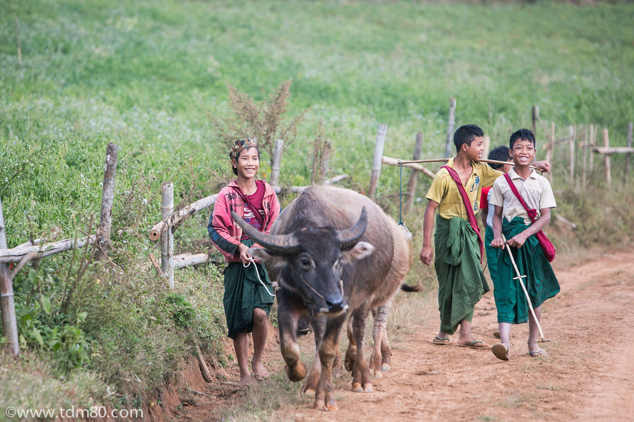 tdm80_Birmanie_Kalaw_Lac_Inley_Trek_37