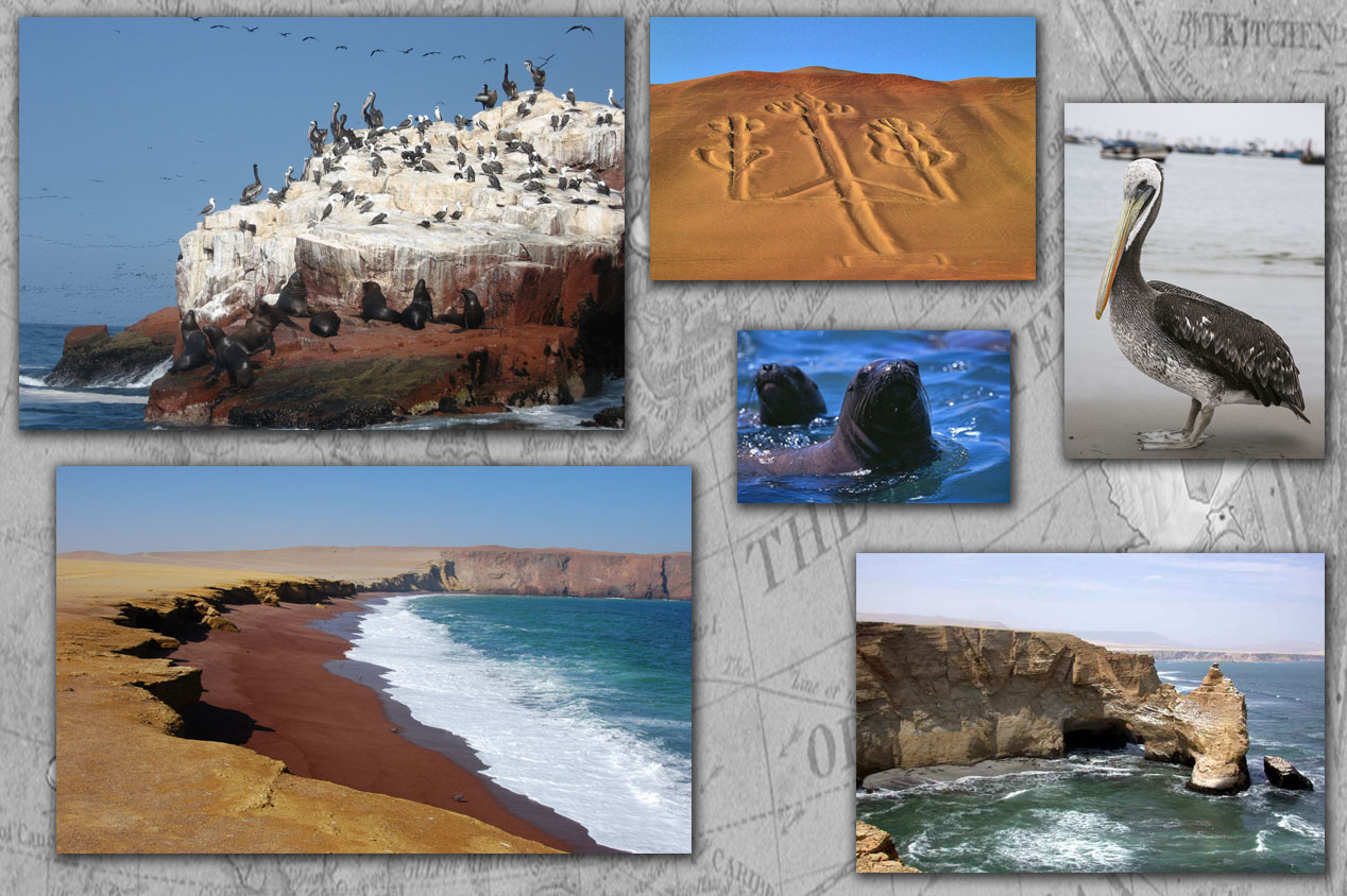 Tdm80_Paracas_reserve_Naturelle_illustration_article