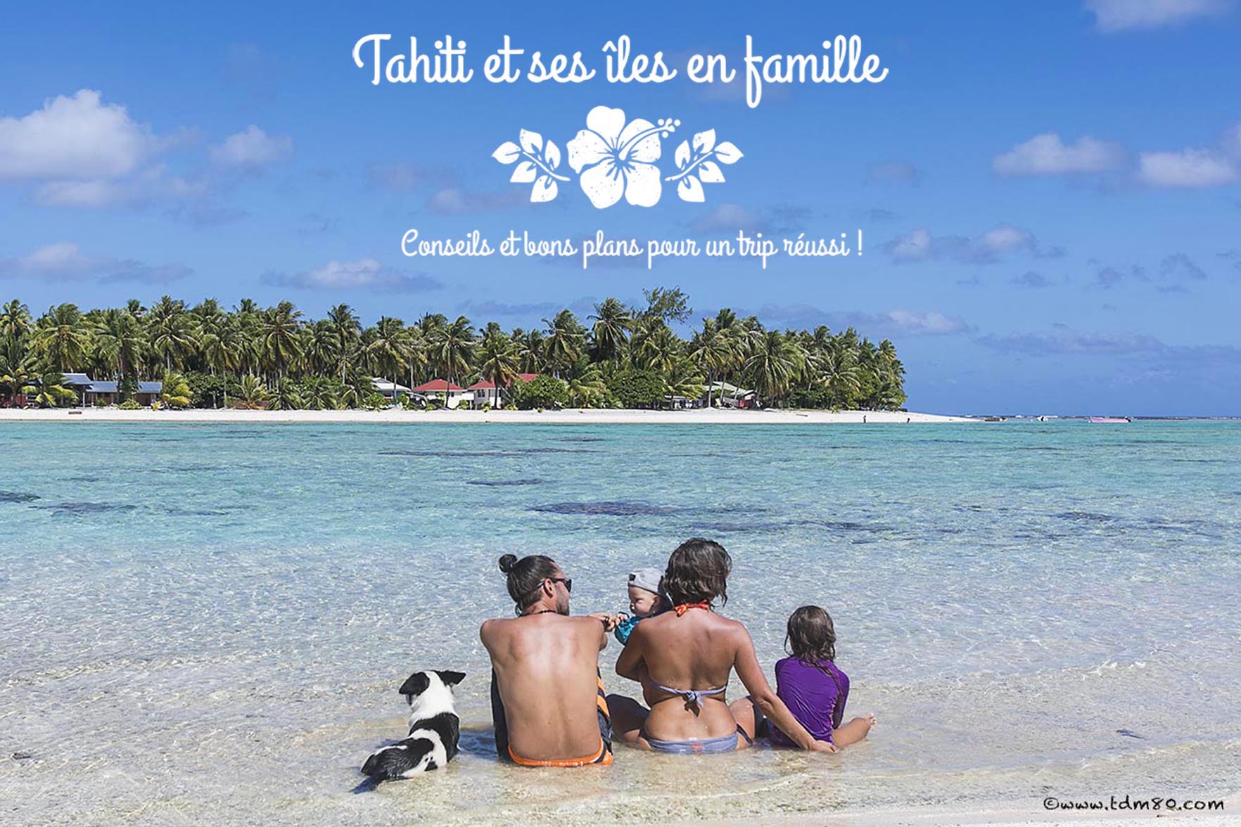illustration de l'article